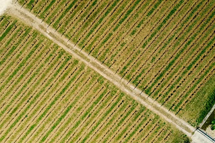 AI-Native vs. Cloud-Native: The Next Great Divide in Startup Infrastructure